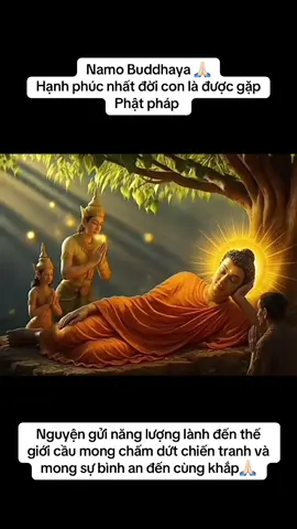 #xuhuong #phatphapnhiemmau🙏🙏🙏 #Buddha #fyp #foryou #tiktokvietnam #thiền #sốngvuimỗingày #2025 #