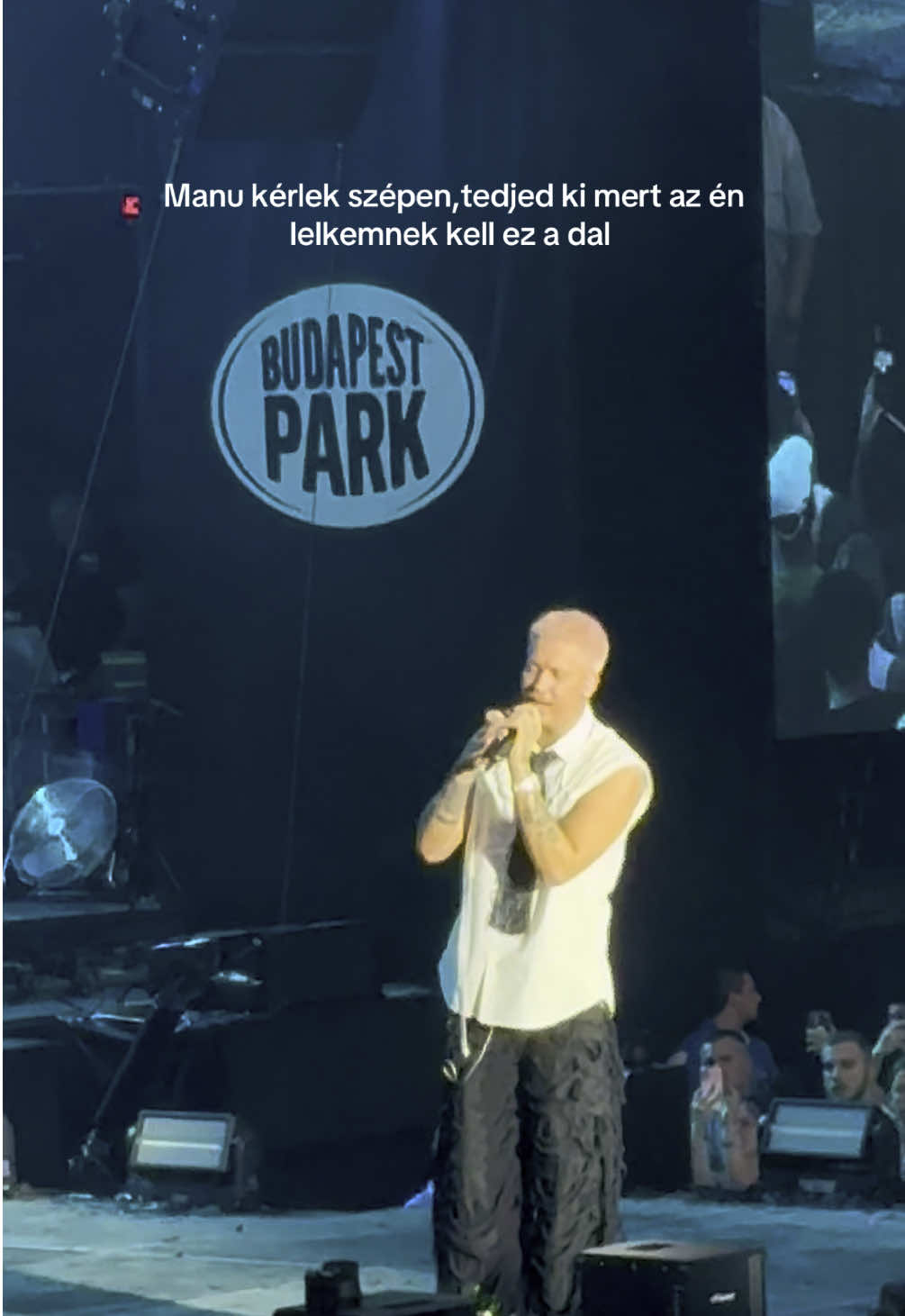 Pretty please🥹 @manuelsingx || #bazdkiforyuba #fyp #manuel #manuelsingx⚡ #manuelsingx #foryou #nekedbelegyen #neked #budapest #budapestpark 