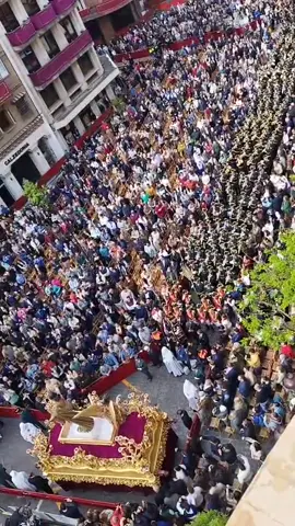 Domingo de Resurrección con el Señor de la Vida #cofrade #virgendelosreyes #domingoderesurrecion #resucitado #vr #elgalileo #semanasanta #sevilla #bandas 