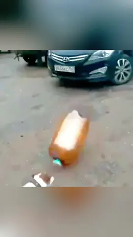 Unlucky dog😭🐾#dog #funny #dogsoftiktok #pet #foryou #funnydog #funnyanimals 