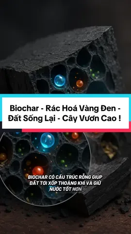 🌱 Biochar – Biến rác thành vàng đen nuôi đất Biochar là than sinh học được tạo ra từ rác hữu cơ như rơm rạ, vỏ trái cây, cành cây khô… thông qua quá trình đốt yếm khí (không có oxy). Tưởng chừng là rác bỏ đi, nhưng khi biến thành biochar, nó trở thành “vàng đen” quý giá giúp cải tạo đất, giữ phân – giữ nước, nuôi vi sinh vật và tăng năng suất cây trồng một cách bền vững. 📌 Lợi ích chính của biochar: 	•	Giữ dinh dưỡng, giữ ẩm cho đất lâu hơn. 	•	Trung hòa độ chua, cải tạo đất bạc màu. 	•	Tăng vi sinh vật có lợi, giúp cây khỏe mạnh. 	•	Cố định carbon, chống biến đổi khí hậu và được tính là tín chỉ carbon (carbon credit). 	•	Giảm sử dụng phân hóa học, tiết kiệm chi phí cho nông dân. 🔥 Với biochar, thứ từng là rác bỏ đi nay trở thành giải pháp vàng cho nông nghiệp bền vững !!!  “Biochar – rác hoá vàng đen, đất sống lại, cây vươn cao!” #xuhuong #nongnghiep #huucovang #lamnong #caphe #nongnghiepsach #bonphan #biochar 