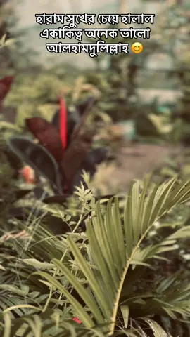 #foryou #foryoupage #tiktokviral #fypシ゚ #tiktokindia #fypシ゚ 