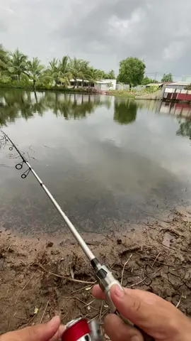 cá sắt vẫn ko ăn thua có cách nào chống móm ko anh em #🥲 #lurefishing #lure #lurecaloc #fishing #xh #xuhuong #xuhuongtiktok #fyppppppppppppppppppppppp 