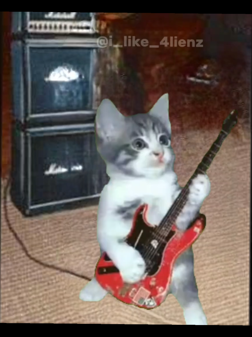 Deceptacon - Le tigre #fyp #music #cat #lyrics 