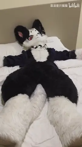 Don’t pinch QAQ [furry monster costume] ( Bilibili: 霏凌是只猫猫 ) #furry #fyp #cute #fursuit #cat #dog #fur 