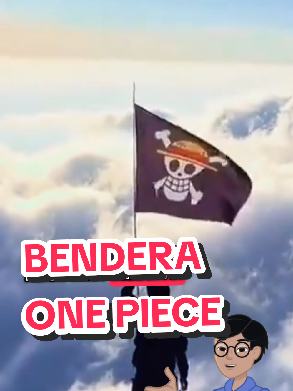 bendera one piece 