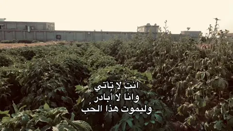 هاذا صاحي 🍉#شعراء_وذواقين_الشعر_الشعبي🎸 #عباراتكم_الفخمه📿📌 #fypシ #fyp #شعراء_الجنوب #عبارات #مشاعر #شعر #حب #استوريات 