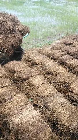 đam mê mới làm nghề nầy được nha ae 😁#giảitritiktok 