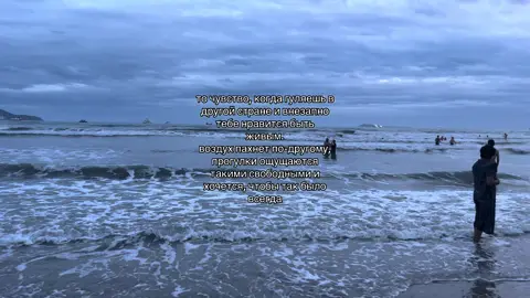 #щп #щитпост 