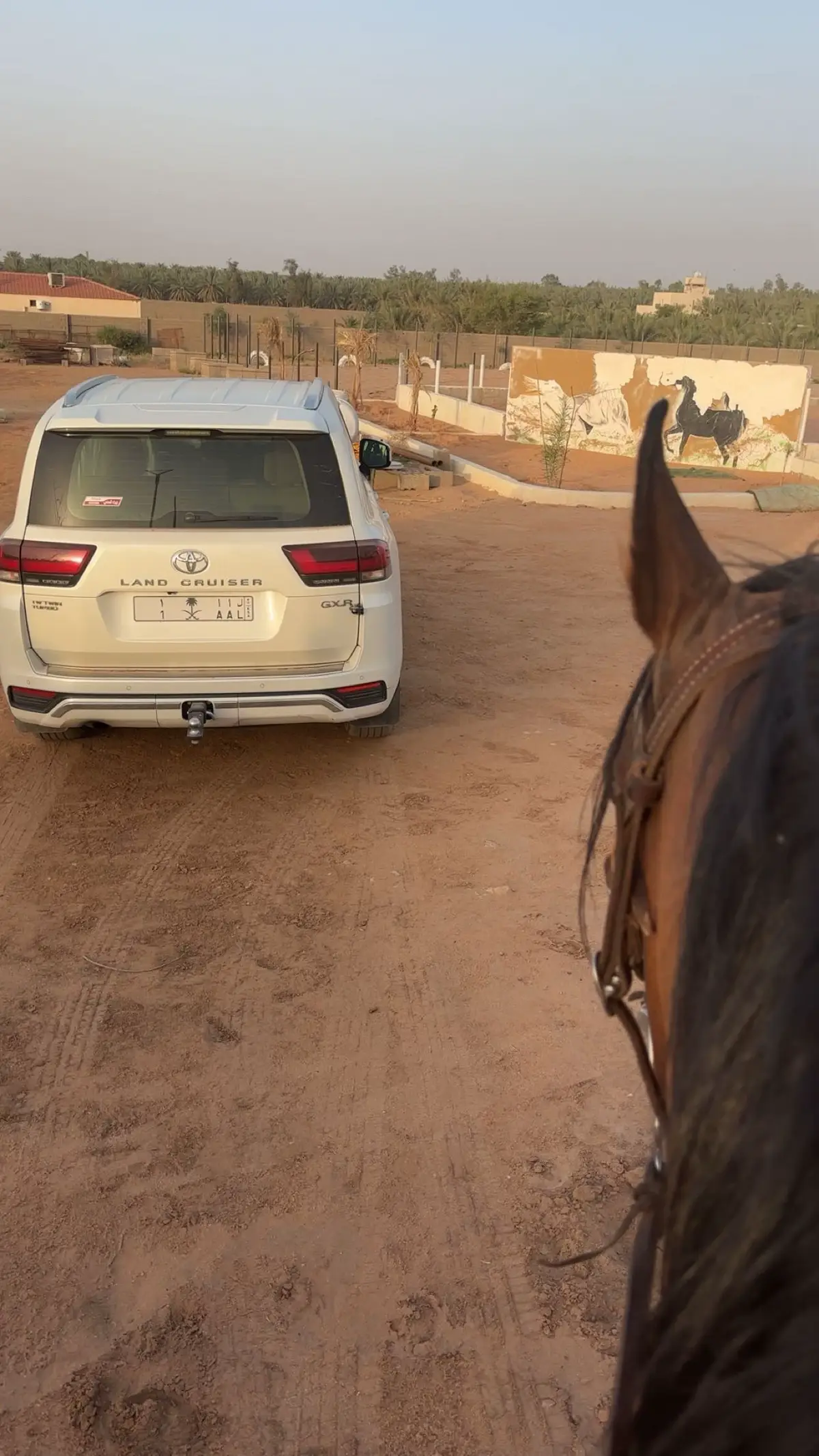 ❤️❤️❤️ #اكسبلور #AB #القصيم #الرياض #لايك #عشوائيات  #بريدة_عنيزة_الرس_البكيرية_المذنب_البدايع #خيل_وخياله🐎 