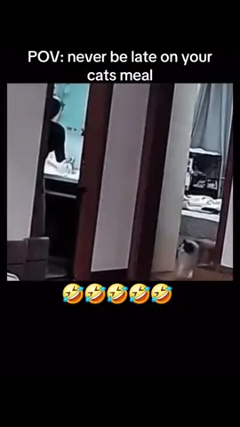 #duet with @Mr. Léo 