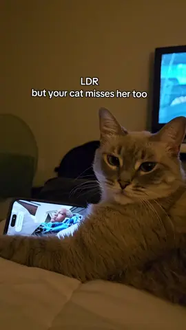 she obviously misses Bae too 🤭 #ldrcouple 