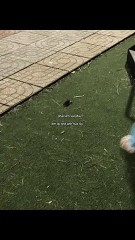 #xh 