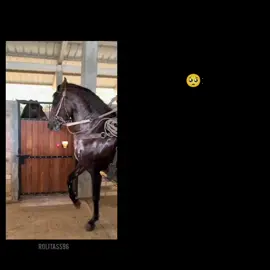 Cuando la tengo cerquita no me puedo controlar 😍#Alzate #paratiii #fypシ゚ #viral_video #mesigesporfavorrrrrr❤️🥺 #meapoyas🥺❤️✨plis #dale❤️ 