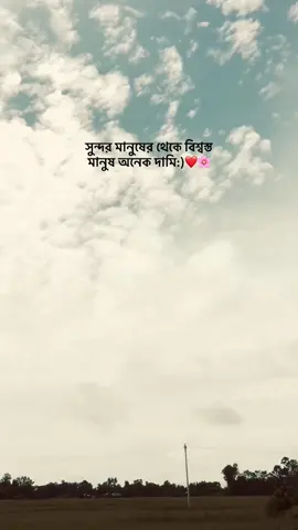 সুন্দর মানুষের থেকে বিশ্বস্ত মানুষ অনেক দামি❤️🌸 #foryou #🌼 #foryyyyyyyyyyy #bangladesh 