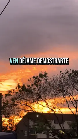 #paratiiiiiiiiiiiiiiiiiiiiiiiiiiiiiii #viraltiktok #amor #fracesparadedicar #parejasdetiktok #fracesdeamor💫🌹 #fracesdelavida 