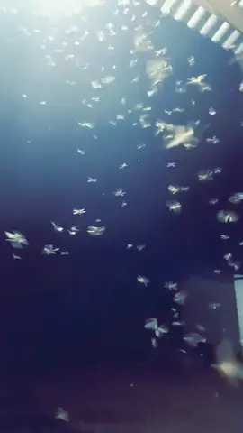 Rindu bah sebenar nyaa🥺😔