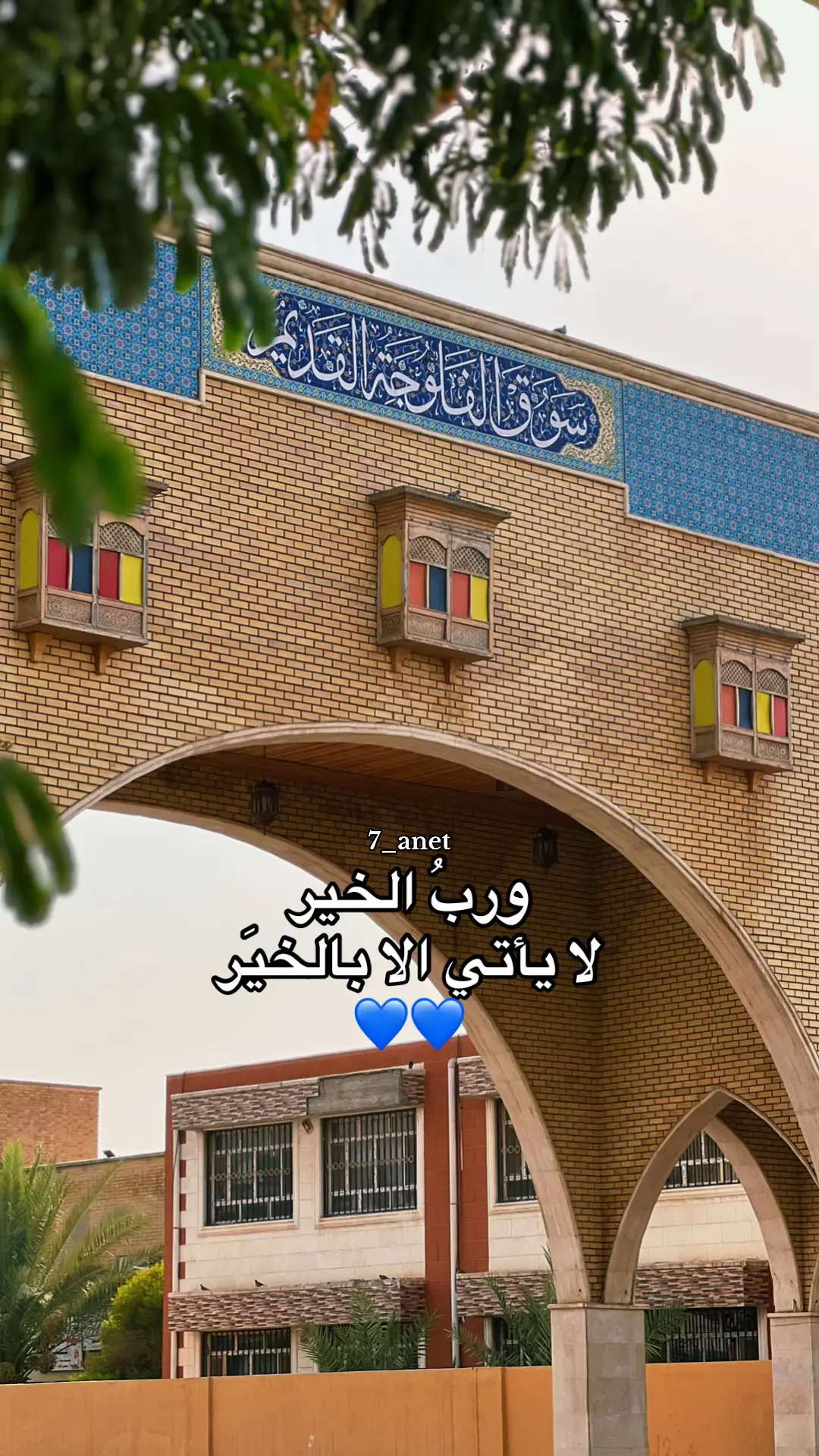 نعمة الحسان - تصويري 🤍🤍 . #الفلوجه #الفلوجة_الانبار #تصويري📸اكسبلوور #تصويري_احترافي_الاجواء👌🏻🕊😴 #نعمة_الحسان #القارئ_نعمة_الحسان #نعمة_الحسان_تلاوة_خاشعة @عـراق . 