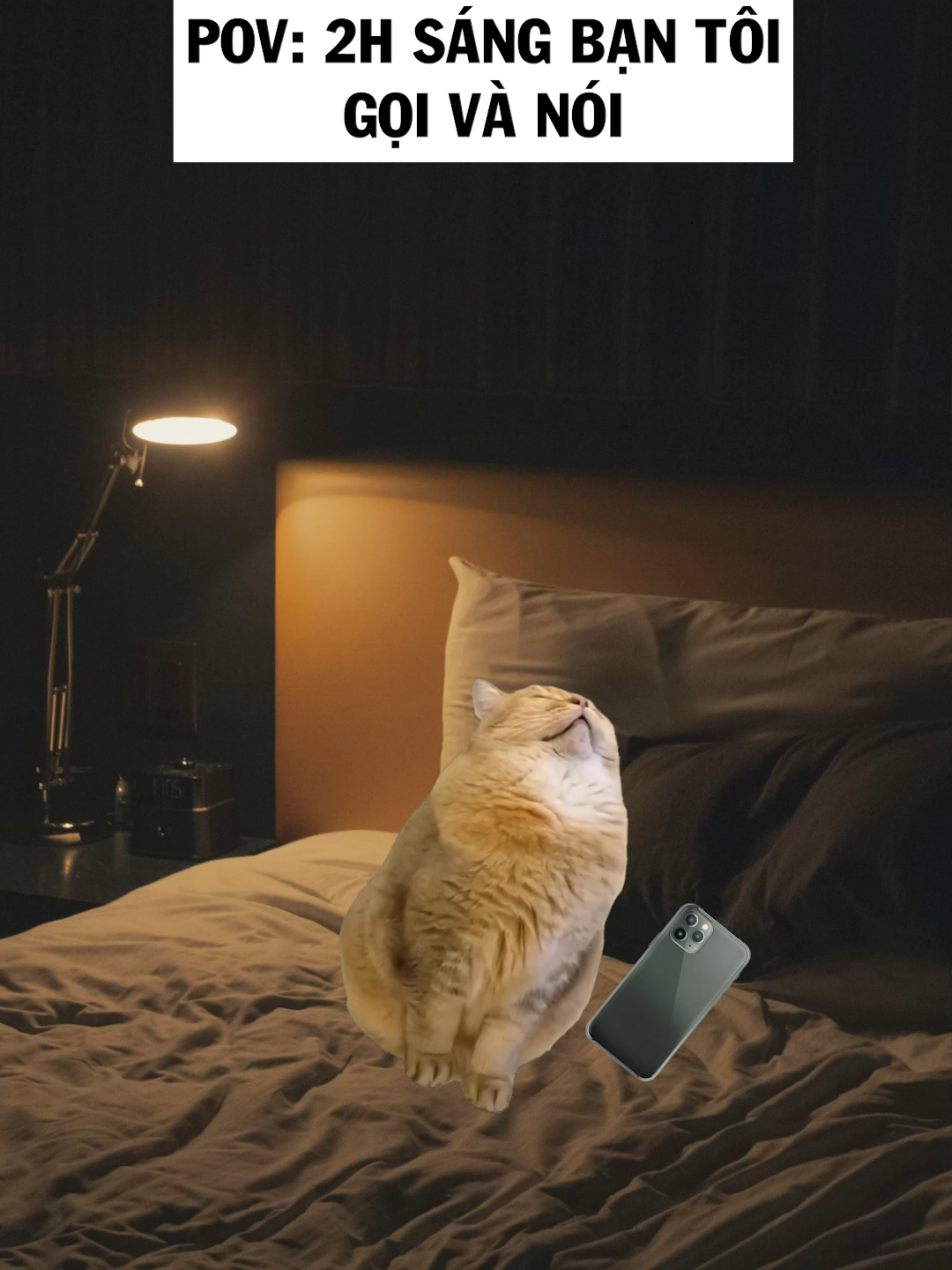 Nghe cũng cũng (cre: chuyenhaytrendoi) #meme #j4f #cat #nupgamgiuong #fyp #funny #foryou