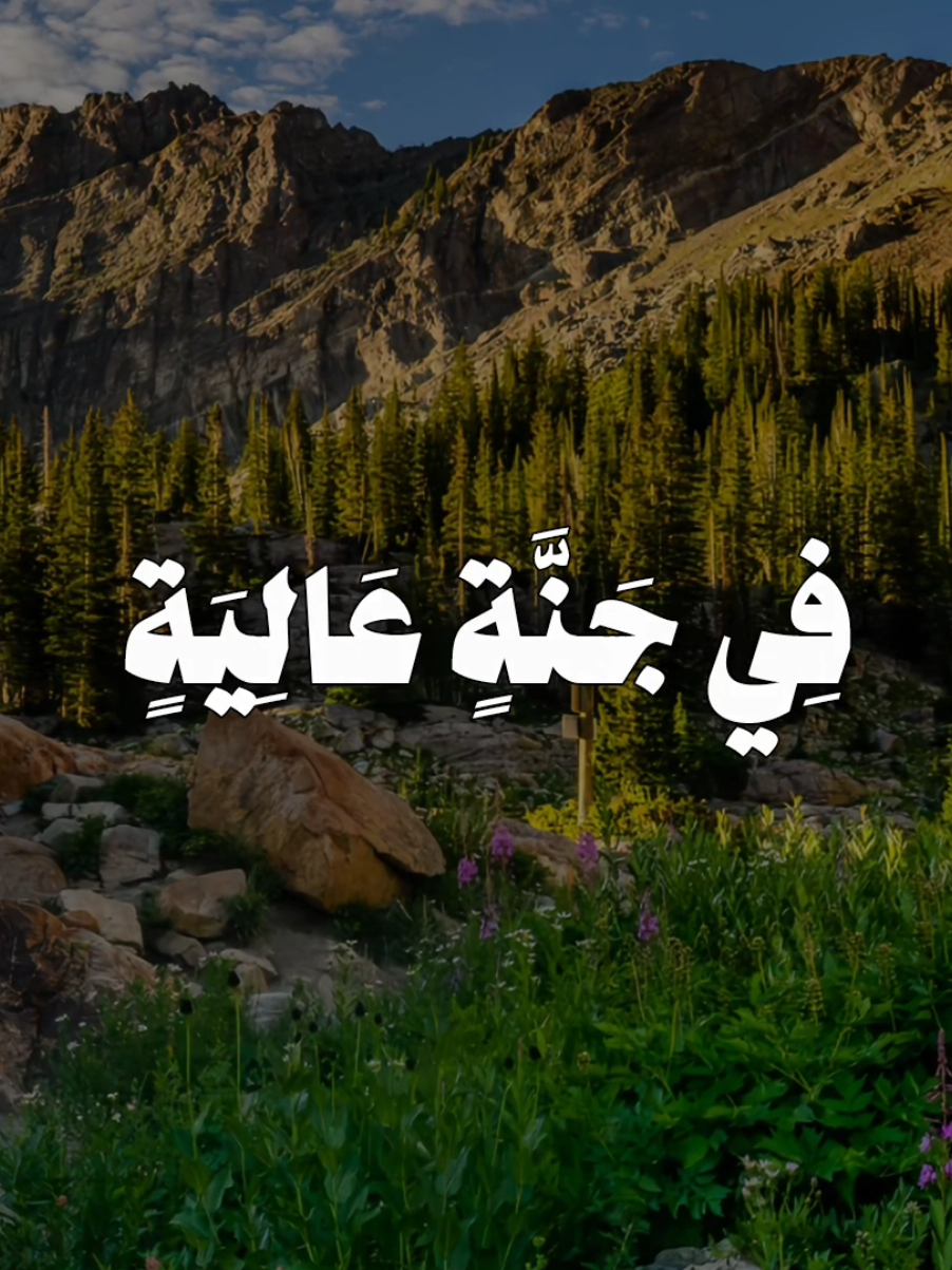 فِي جَنَّةٍ عَالِيَةٍ #الشيخ_محمد_المحيسني #quran #quran_alkarim #قران_كريم #قران  #fyp 