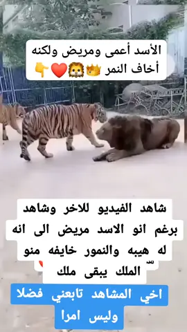 #الجميع #الاصدقاء #المتابعين تابعوني علشان يوصلكم كل جديد ومميز دايمًا! ❤️‍🔥 ضحك 😂، فائدة 📚، متعة 😍، وكل شي تحبونه بانتظاركم! لاتنسوا اللايكات والفلّو يا حلوين! ☺️ #تابعني #اضحك #محتوى_راقي #explore #فولو #ترند #ضحك_وناسه #لايك_واشتراك ❤️✨🔥😂😍☺️⚡📱🌟💬🎯
