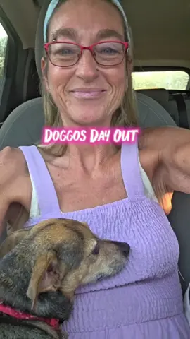 Fun times are coming, and my loyal dogs are by my side, ready for an awesome adventure. #petsfunnyvideos #menards #lowesdogs #loweshomeimprovement #lowes #menardsfinds #creatorsearchinsights #creatorsearchinsights #dog #dogs #puppy #dogsoftiktok #Brownie #lulu #Harley #dogsofttiktok #puppytiktok #puppylife #puppydog #dogmom #dogmomlife #dogmoms #dogmomsoftiktok #dogoftheday #doglover #pet #pets #puppylovers #puppylover #puppylove #Love #cute #doglife #dogslife #doggos #doggo #ilovemydogs #ilovemydog #ilovemydogsomuch #cutedog #funnydogs #funnydogvideos #dogphotography #happydog #happydogs #happydoggie #pup #Vlog #vlogs #vloggingmyday #comewithme #followme #travel #traveling #trip #traveling #followmyday #beagle #chahuahua #sonny #penelope 