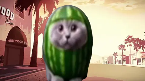 Watermelon cat approved, #watwrmelon #watermelon #watermeloncat #cat #cats #catsoftiktok #watermelonkitty #gta #funny #funnyvideos #fyp #fypシ #meme #memes #catmeme #catmemes 