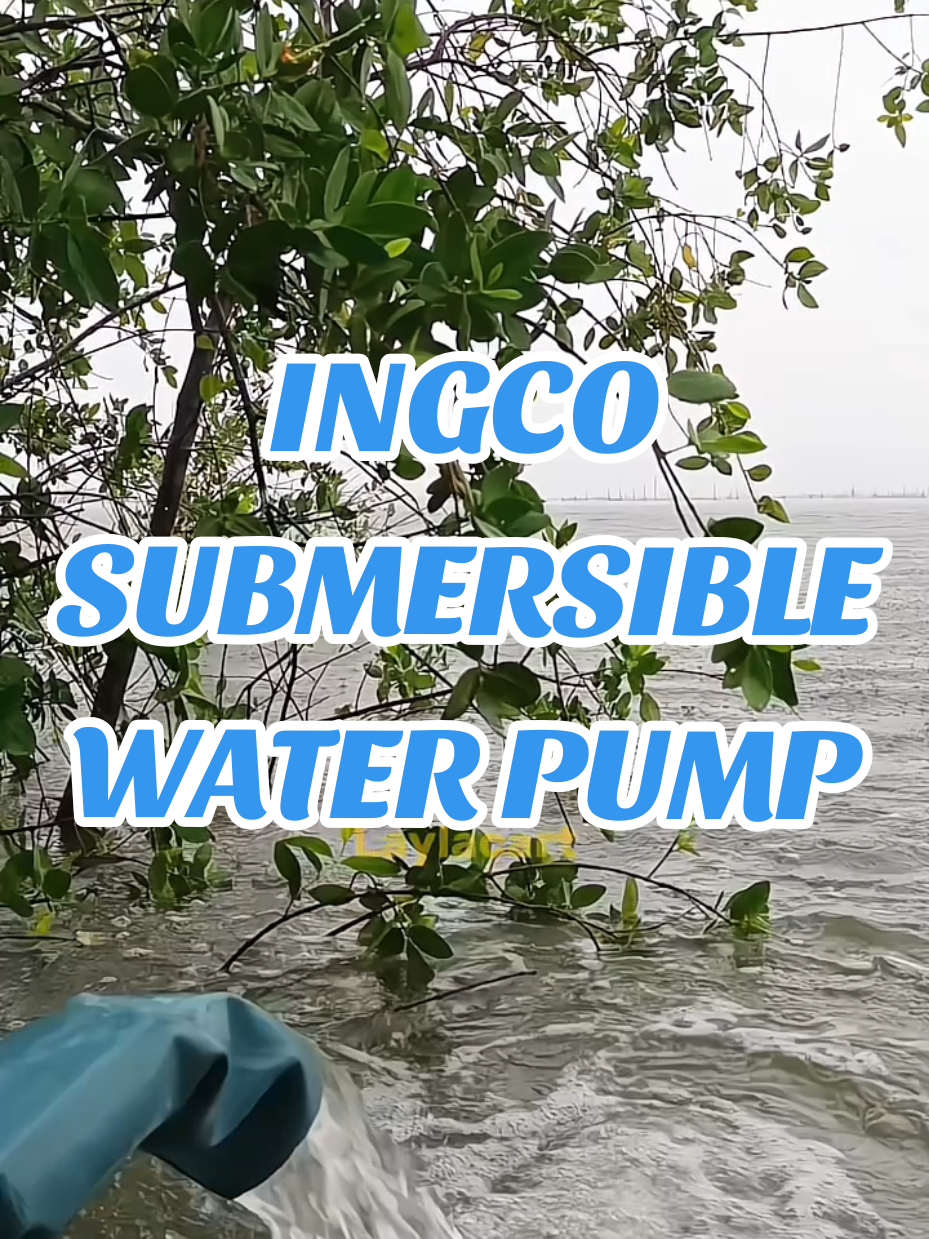 Need talaga may water pump sa bahay, worth it lalo na sa bahaan ✅ #sewagepump #submersiblewaterpump #waterpump 