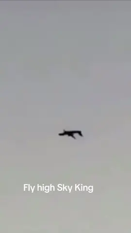 The Sky King lives on… #sky #airplane #tiktok #tiktokmademebuyit 