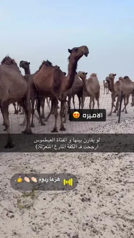 #اكسبلور💙 #fyp #explorepage✨ #من_الذود_افلح_من_ذكر_الله #حرش_العراقيب #الصفر #الشعل #اكسبلورexplore #الصياهد 