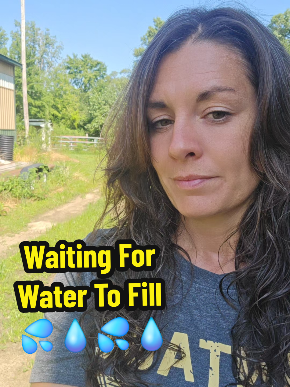 Waiting on the cow water to fill and trying to convince Curry that it's safe to come over and see me. #GarnoHomestead #homesteading #farmtok #mylife #cowsmakemehappy #farm #farmlife #homestead @Garno Homestead LLC 