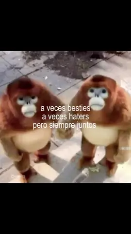 ... #bestie #besties #identificarse #identificarse? #dedicar #dedica #foruyou #foryoupage #Viral #contenido #noflopplease #flypシ #flyppppppppppppppppppppppppppppppp #xybca #viraltiktok #viral 