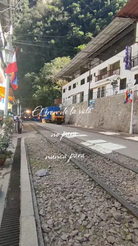 El tren de la vida, no para. Nunca para!!!! 🚂🚂🚂#machupicchu #cusco #frases  #tren #vida 