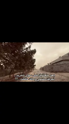 #fyp #شعر_عراقي 