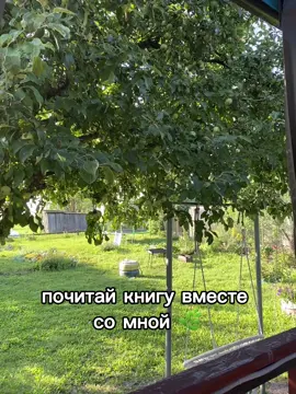 как мне нравиться этот формат и эта музыка💔 #букток #чтение #книга #почитайсомной #букток2025 