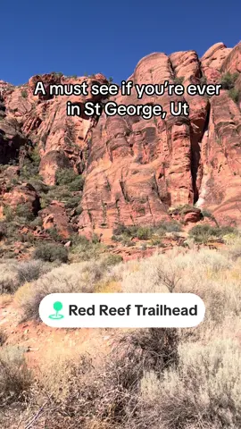 This is our favorite hike to do down south! There’s usually water at the end, but it’s super dry this year!  #Hiking #stgeorgeutah #mustsee 