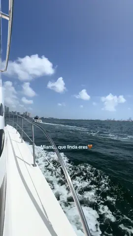 El mar da felicidad 🤎 #miami #miamibeach #creatorsearchinsights 