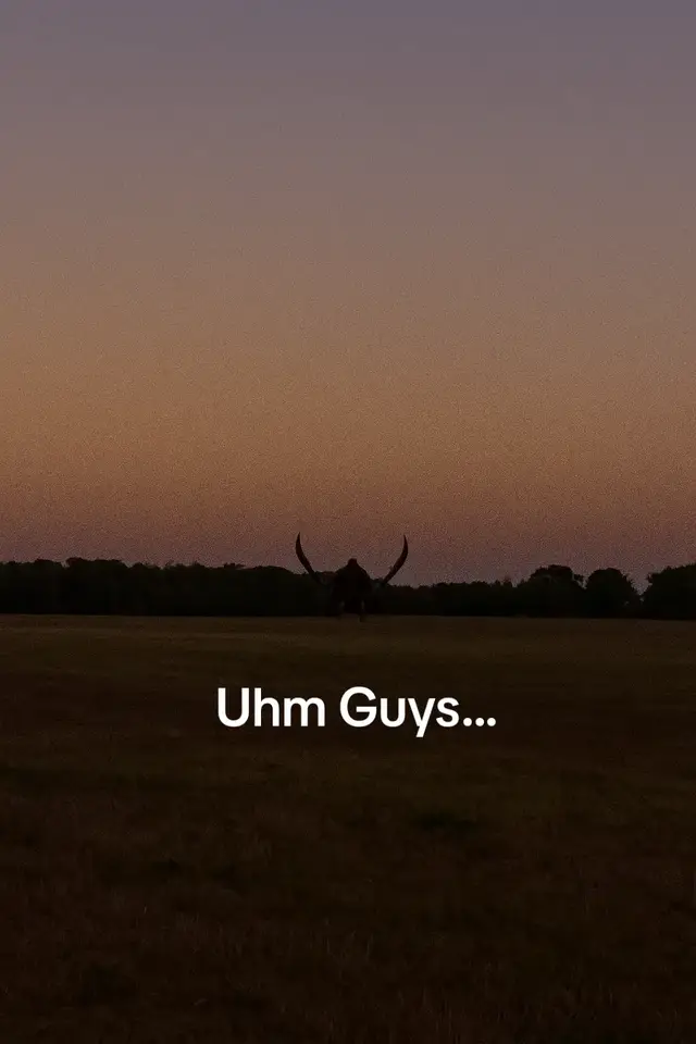 #cooked #consort #radahn #eldenring  Uhm Guys...