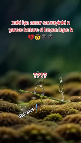 #soyayya🥰❤️😘🌹🔐❤️💯 #kano #trendingvideo #goviral #arewa__tiktok 