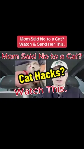 Episode 735: Mom Said No to a Cat? Watch This.#dog #dogsoftiktok #dogs #dogsoftiktok #cat #catsoftiktok #relax #learn #iphone #play #game #water #Science #education #magic #tips #tipsandtricks #lifehacks #LifeHack #Lifestyle #lifetips
