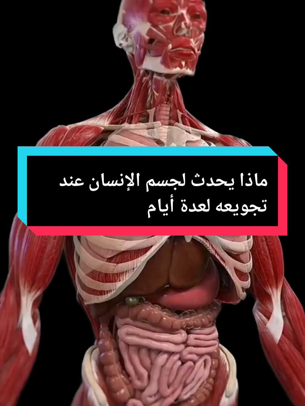 ماذا يحدث لجسم الإنسان عند تجويعه لعدة أيام #المجاعة_في_غزة #معلومات_طبية #clinique_am 