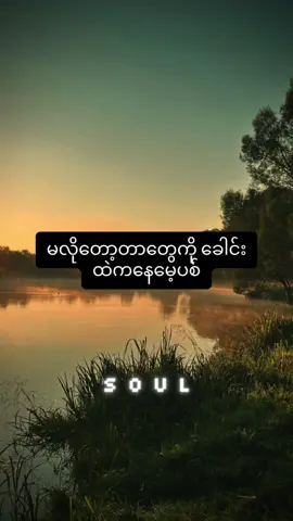 အနိုင်ယူသူကိုအရှုံးပေးလိုက်လို့လည်း ကိုယ့်ဘဝပျက်မသွားပါဘူး📚📖📙 #soul #စာပေ #knowledge #foryou #fyp 
