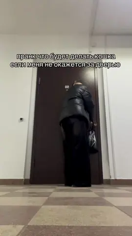 невдупленыш мой любимиии киси #пранк 