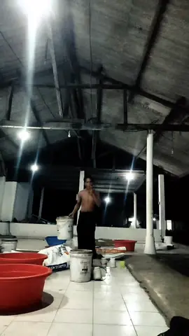 #promomakangajian #fypシ #Banyuwangi #blimbingsari 