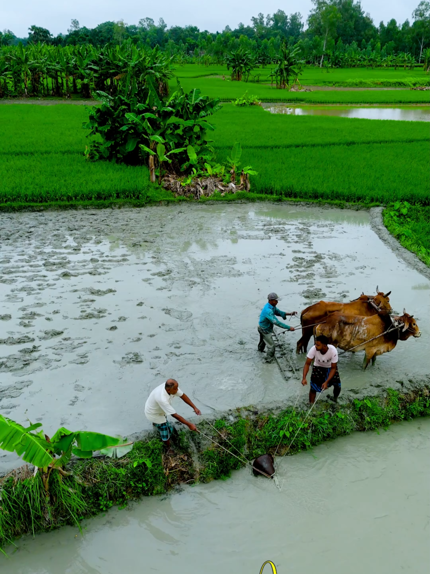 ফিরে দেখা গ্রামের ৯০ দশকের প্রতিচ্ছবি।