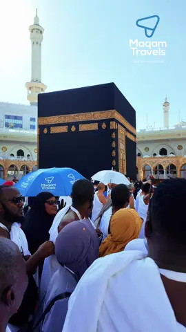 With hearts full of faith, our Black Umrah Group B begins their Tawaf around the sacred Kaaba 🕋 Each step, a prayer… each circle, a connection. #BlackUmrah #MaqamTravels #TravelWithConfidence #WeefunireVisaYo #HijjaMuBudde 