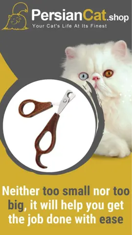 👉 Opt for our professional grooming tool, safe and capable of multi-tasking. Trim your Persian cat's nails with care and ease. 🐱 💅 This nail clipper is specially designed for their delicate claws. ✂️ Ergonomic and efficient, it ensures quick and comfortable grooming 🛒 🔔 Don't forget to Like ❤️, Share ️, Comment ✏️ and Subscribe to our channel ✨ 👉 https://www.persiancat.shop #PersianCatLife #CatPerson #FelineFriends #Meow #LovePersianCats #FurryFriends #ExoticShorthair #RagdollCat #HimalayanCats #CatNailClipper #PersianCatTrimmer #CatsClaws