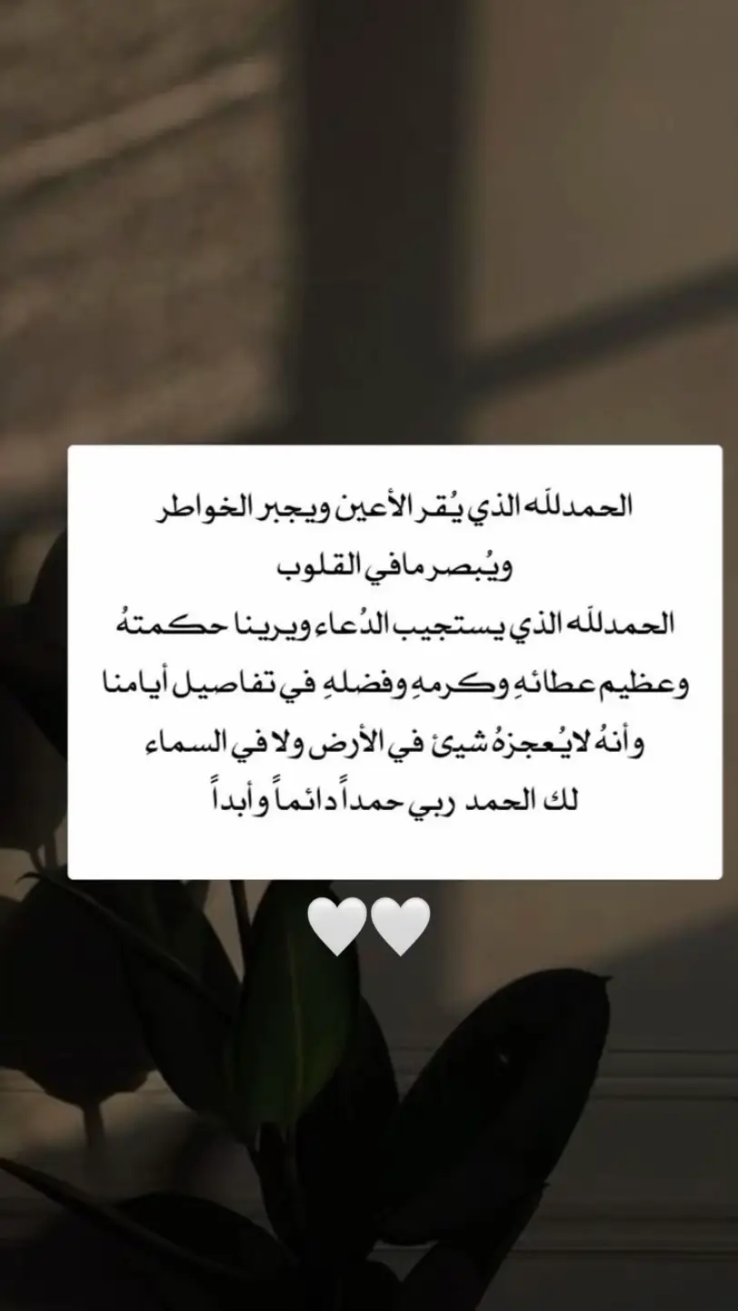 #fypppppp #viral #الحمدلله_رب_العالمين #🤍🕊️♾️ #🤍🤍🤍🤍🤍🤍 