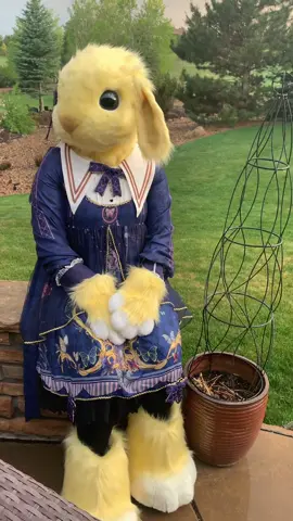 Daisy loves you!! Did you know it’s my birthday in a month?? 💕🐇 #fursona #furry #fursuit #rabbitfurry #furryfandom #furrys #furrytiktok #bunny 