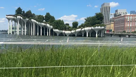 #fyp #viraltiktok #sigueme @Creator search insights 2025 @#foryou 